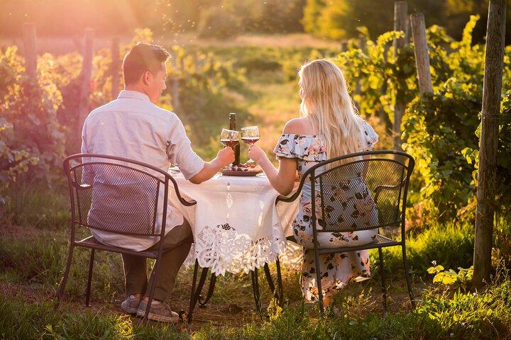 Napa or Sonoma Private Wine Tour from San Francisco