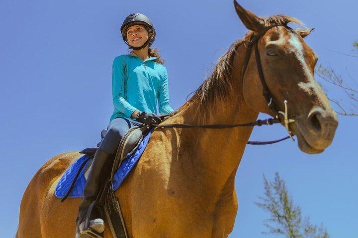 Horseback Ride and Swim Jamaica