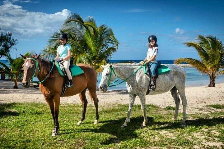 Horseback Ride and Swim Jamaica