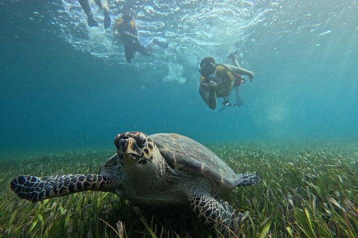 3 in 1 Jungle Tour Adventure Cancun