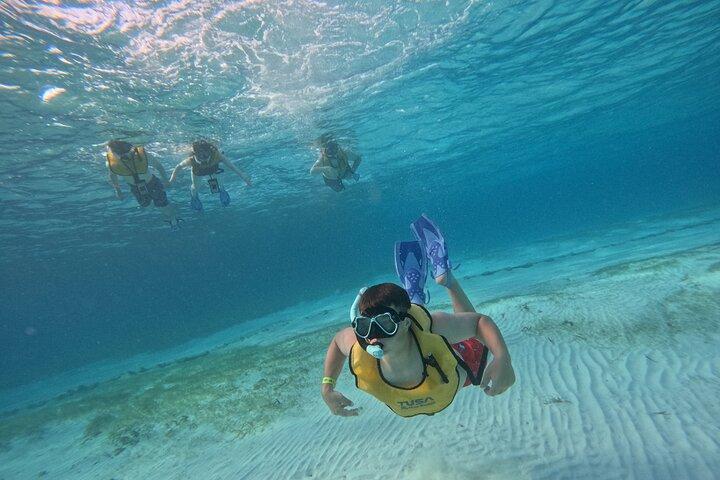 3 in 1 Jungle Tour Adventure Cancun