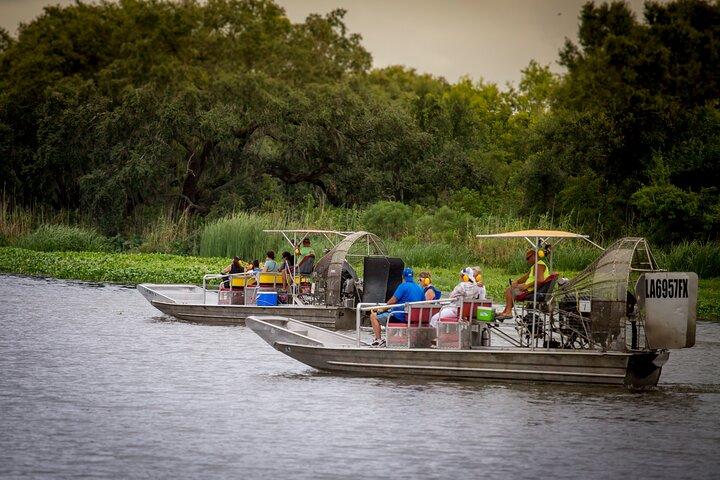 Half Day Private Swamp Experience in Louisiana