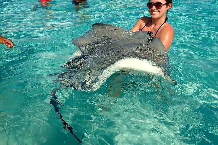 Stingrays and Starfish Point Tour