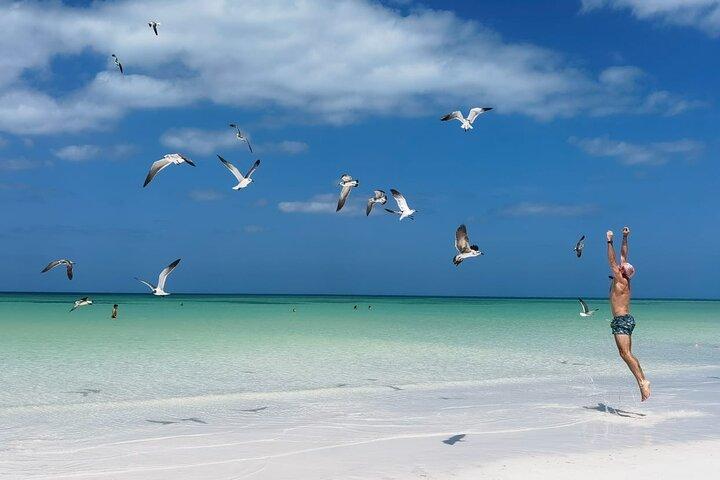 Full Day Tour of Isla Holbox and Isla Pasión with Cenote