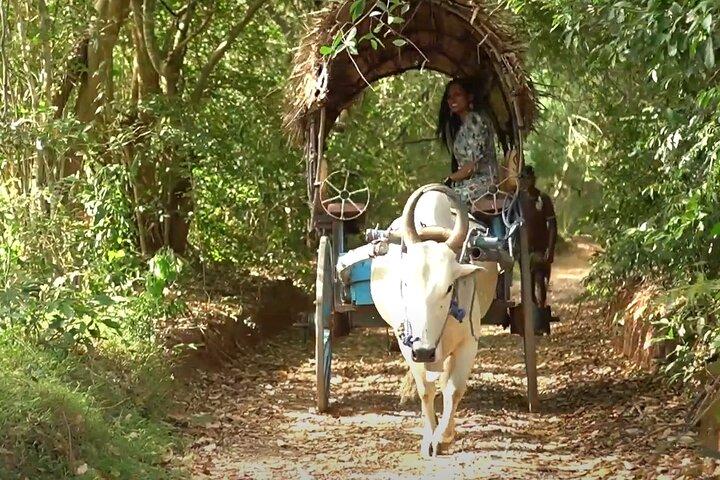 Sigiriya and Dambulla Private Day Tour by Tuk-Tuk or Car