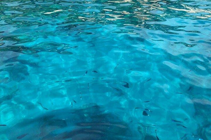 3 Hour shared Cinque Terre tour + Swim Stops at Secluded Beaches!