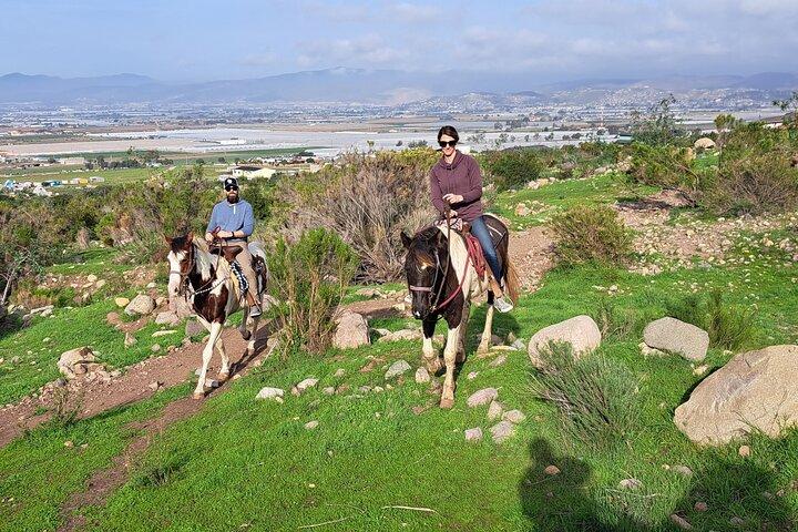 Horseback Mountain Trail Ride