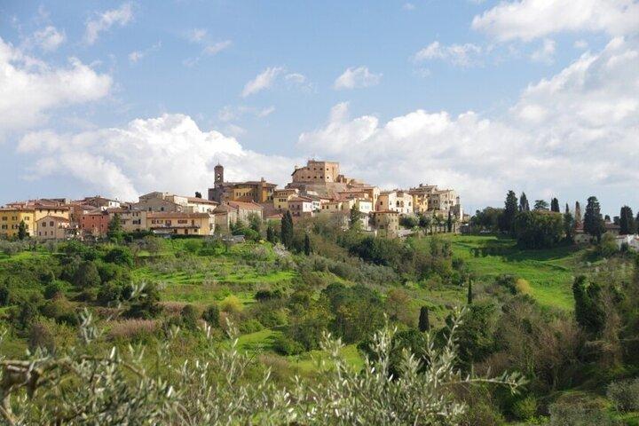 Private Guided Tour to Pisa and local Wine Farm from Livorno port