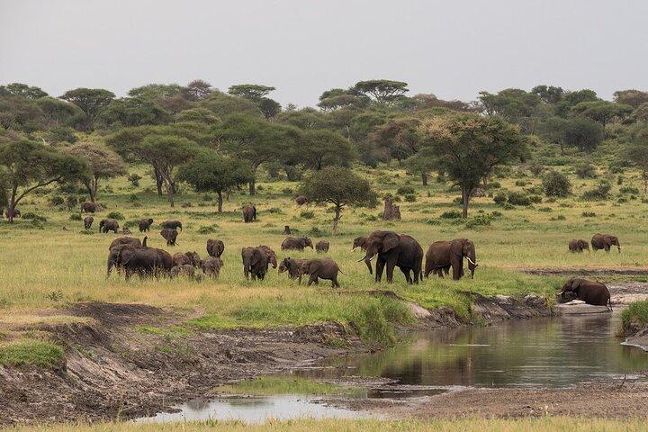 4-Day Serengeti, Ngorongoro, & Lake Manyara Budget Tour
