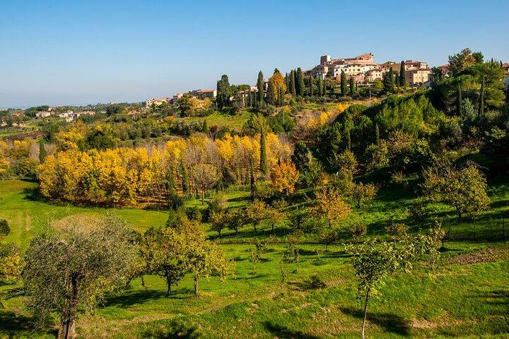 Private Guided Tour to Pisa and local Wine Farm from Livorno port