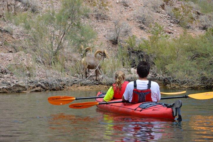 Emerald Cave Deluxe Kayak Tour with Catered Lunch & Guide