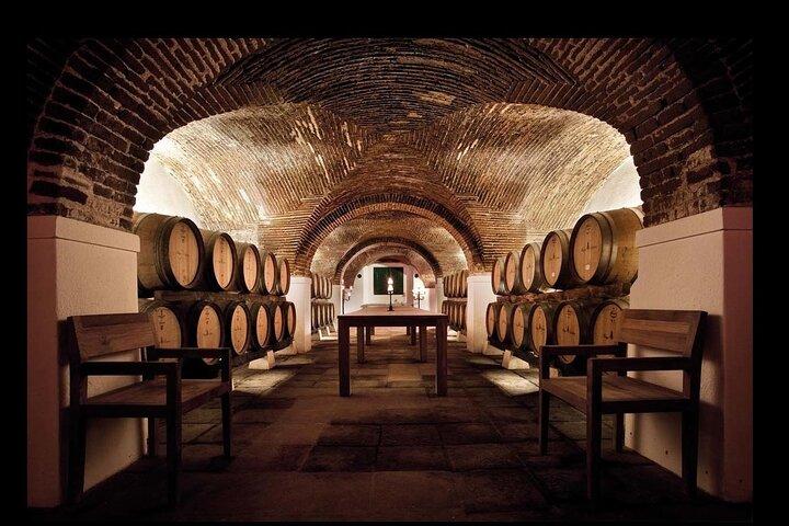 Private Tour to Évora and Megaliths