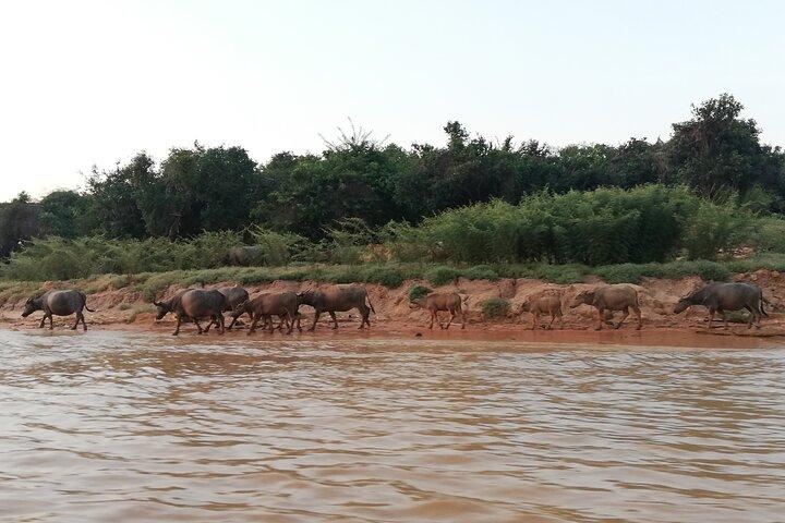 Tour to Kompong Phluk Village from Siem Reap Town