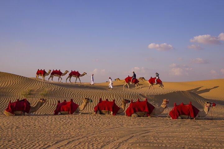 Overnight Camel Caravan with BBQ Dinner and Arabic Breakfast