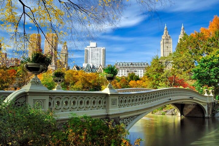 Half Day New York City Private Tour