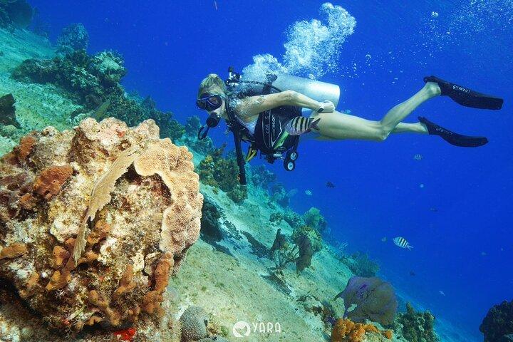 Private Discover Scuba Diving in Cozumel for First-Time Divers