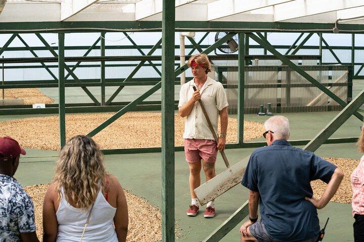 Kona Coffee Farm Tour