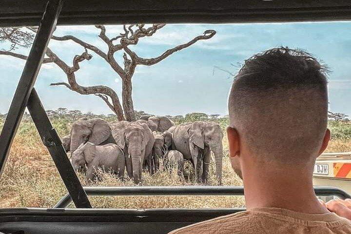 2 Days Safari to Tarangire, Ngorongoro Crater and Snake Park