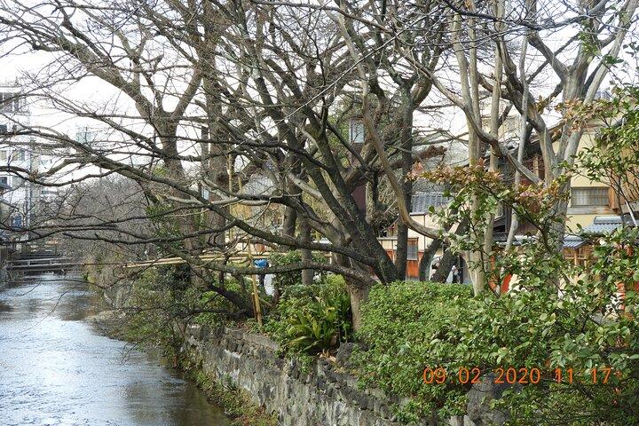 Private 2-Hour Guided Gion Tour: Discover Kyoto’s Geisha District