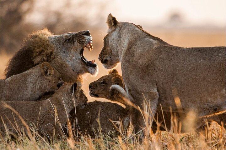3 Days, 2 Nights Safari - Maasai Mara from Nairobi/Kisumu