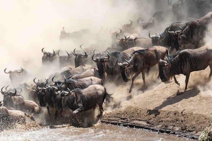 13 Days and 12 Nights Tour in Kenya and Tanzania Safari