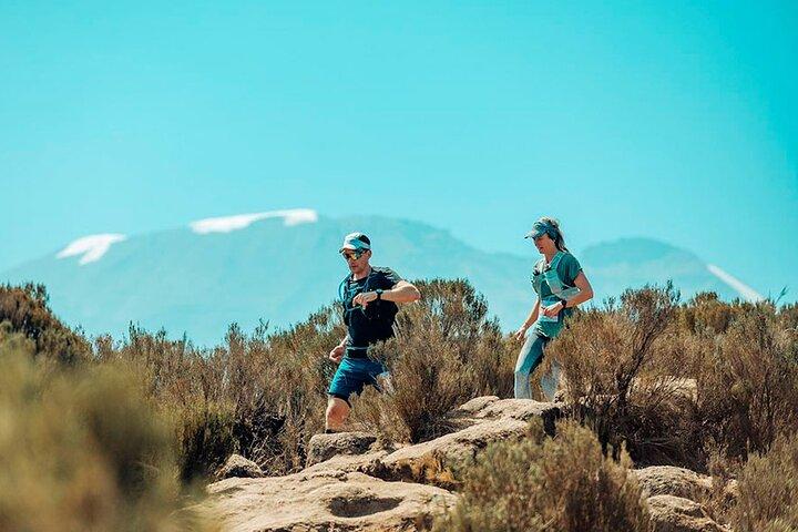 14-Days Private Marathon Running Camp in Kenya and Tanzania
