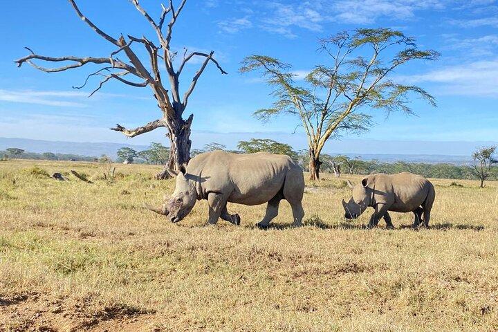 6 Days Kenya Budget Group Safari