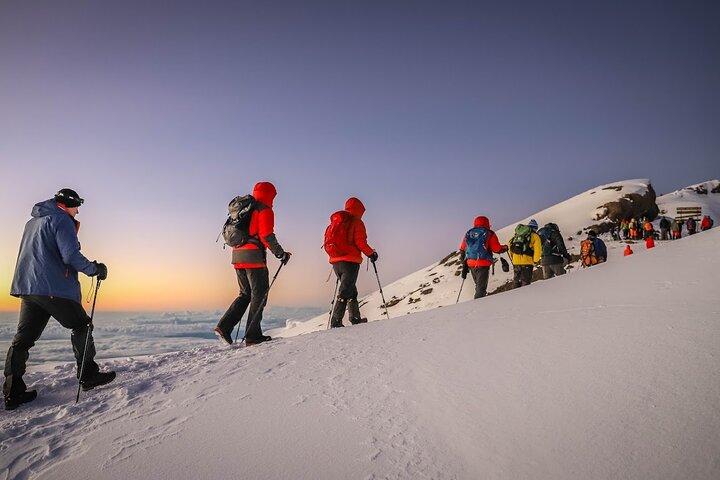 6 Day Private Machame Route Tour with Kilimanjaro Climbing