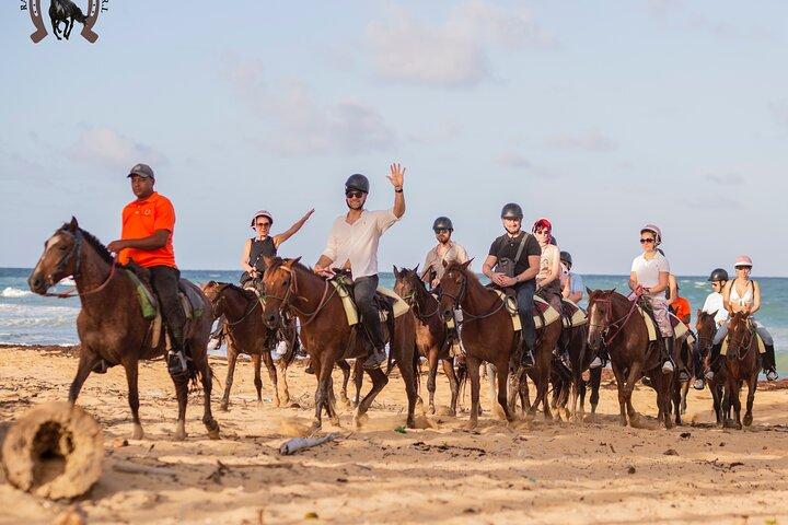 Punta Cana Beach Horseback Riding