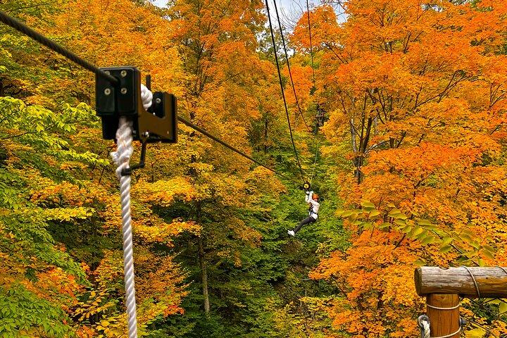 Zipline Canopy Activity Admission at Bristol Mountain