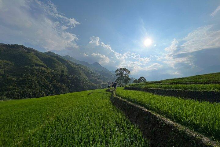Sapa 2-Day Trek & 1-Night Homestay with Local Guide