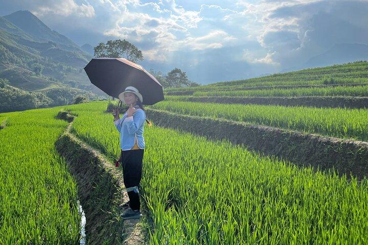 Sapa 2-Day Trek & 1-Night Homestay with Local Guide