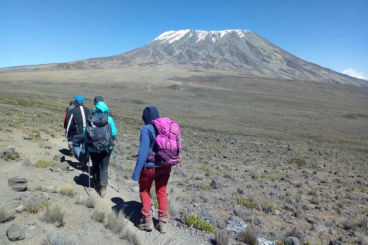 6 Day Private Tour at Kilimanjaro Rongai Route