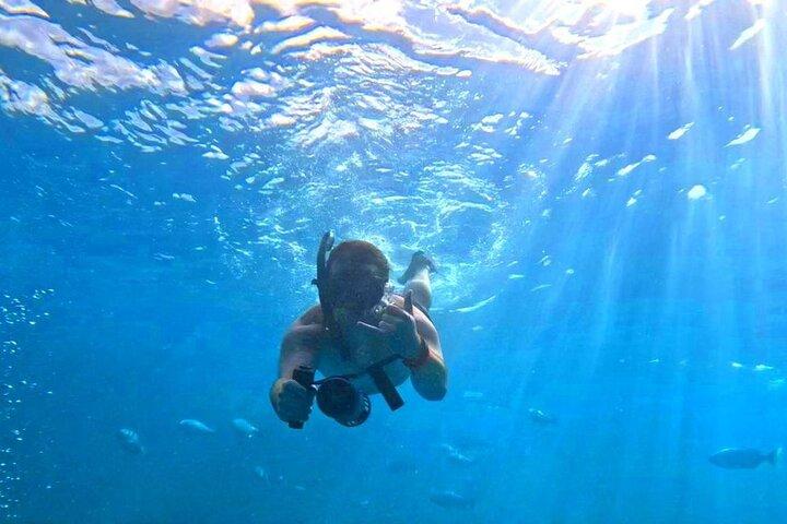 Waikiki Turtle Snorkeling Tour with Free Pickup
