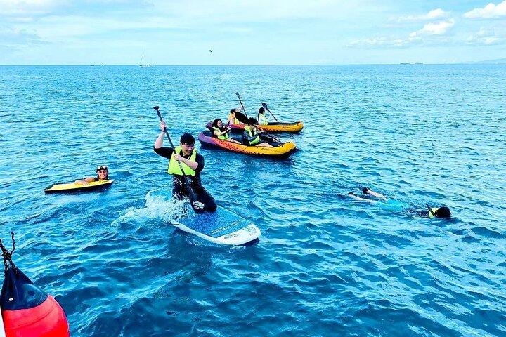 Waikiki Turtle Snorkeling Tour with Free Pickup