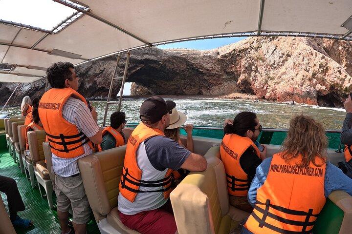 Ballestas Islands and Paracas Reserve Expedition from Ica group