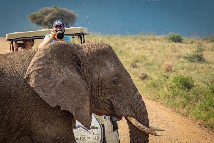4-Day Private Safari Tour in Tanzania with Guide