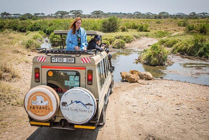 4-Day Private Safari Tour in Tanzania with Guide