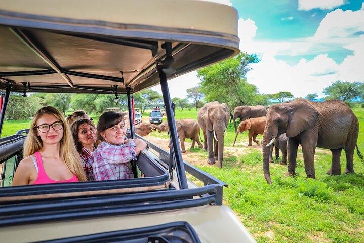 3 Days Private Taste of Tanzania Wilderness Safari-Camping Safari