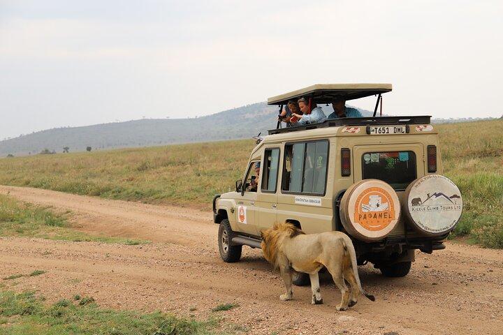 4-Day Private Safari Tour in Tanzania with Guide