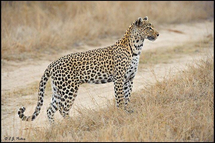Private 3 Day Tour to Serengeti National Park