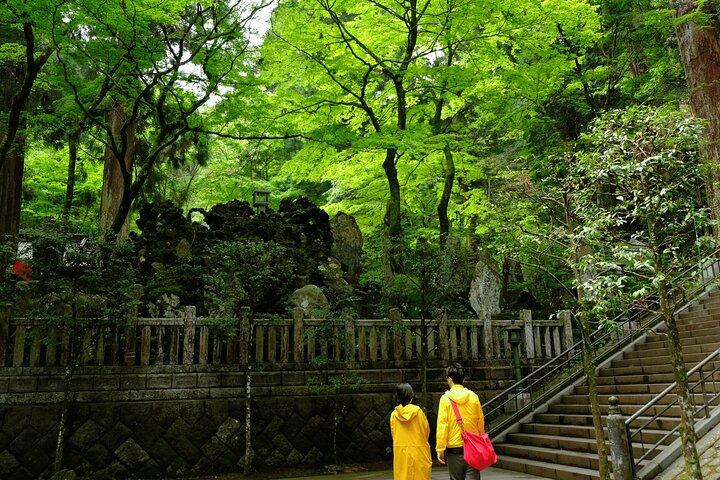 Forest Bathing in Temple and Enjoy onsen with healing power
