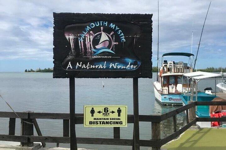 Luminous lagoon Dark night Tour from Ocho Rios and Runaway Bay Hotels