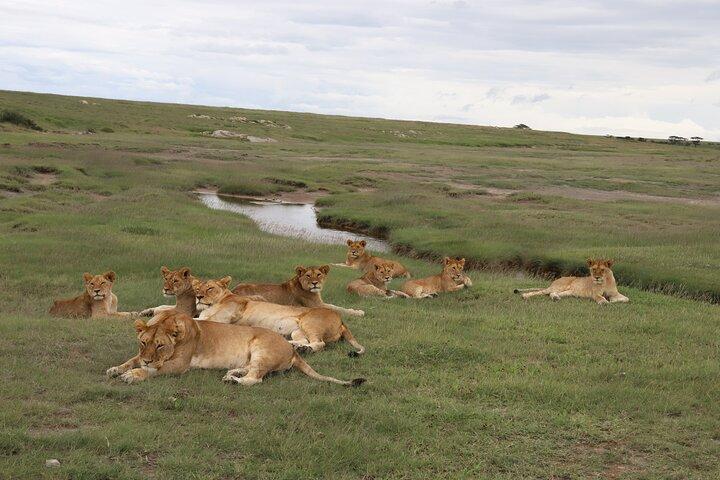 5 Days Private Camping Safari in Tanzania