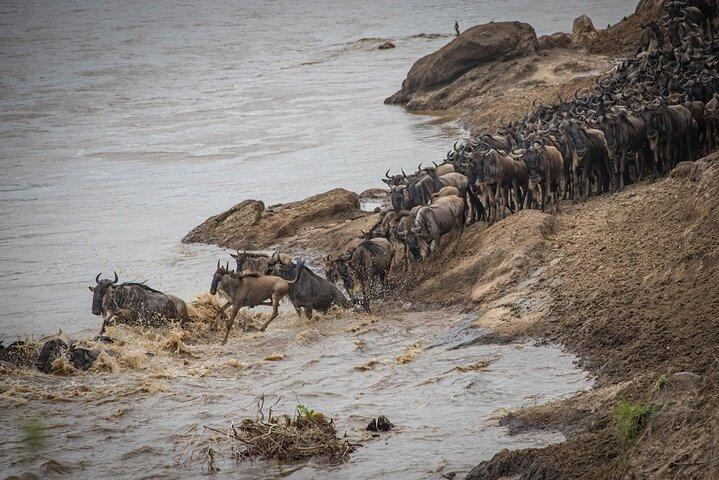 8 Days Serengeti Wildebeest Migration Mara River Crossing