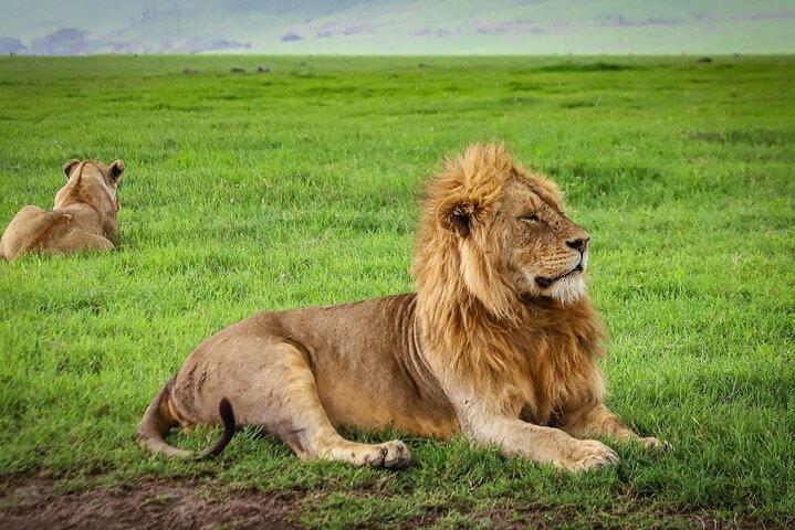 5 Days Private Camping Safari in Tanzania