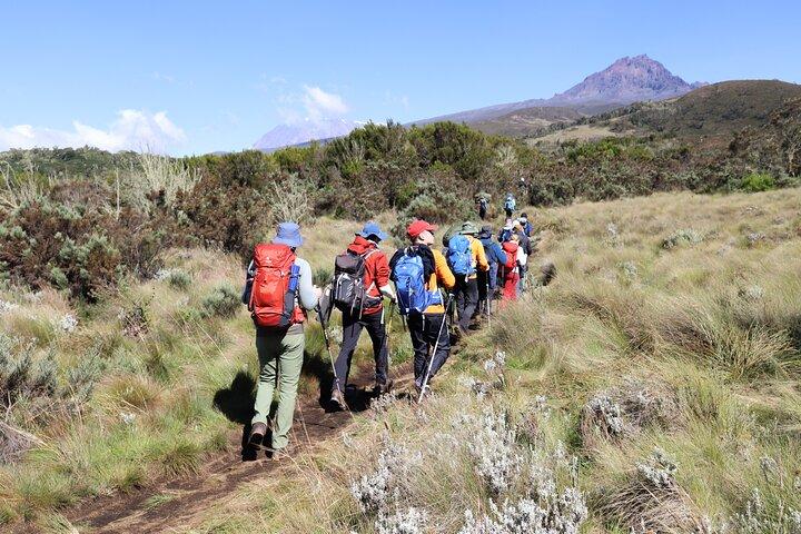 6 Day Trek in Mt Kilimanjaro