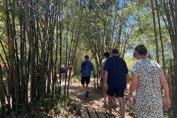 Half- Dmz (demilitarized Zone) Tour From Hue