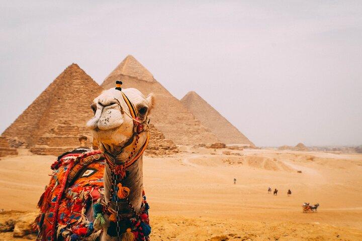 Private Half Day Giza Pyramids Tour with camel & Lunch