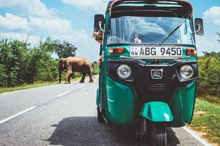 Sigiriya and Dambulla Private Day Tour by Tuk-Tuk or Car